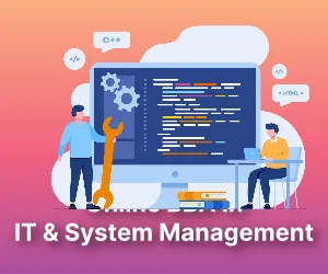 Online BBA in IT and System Management